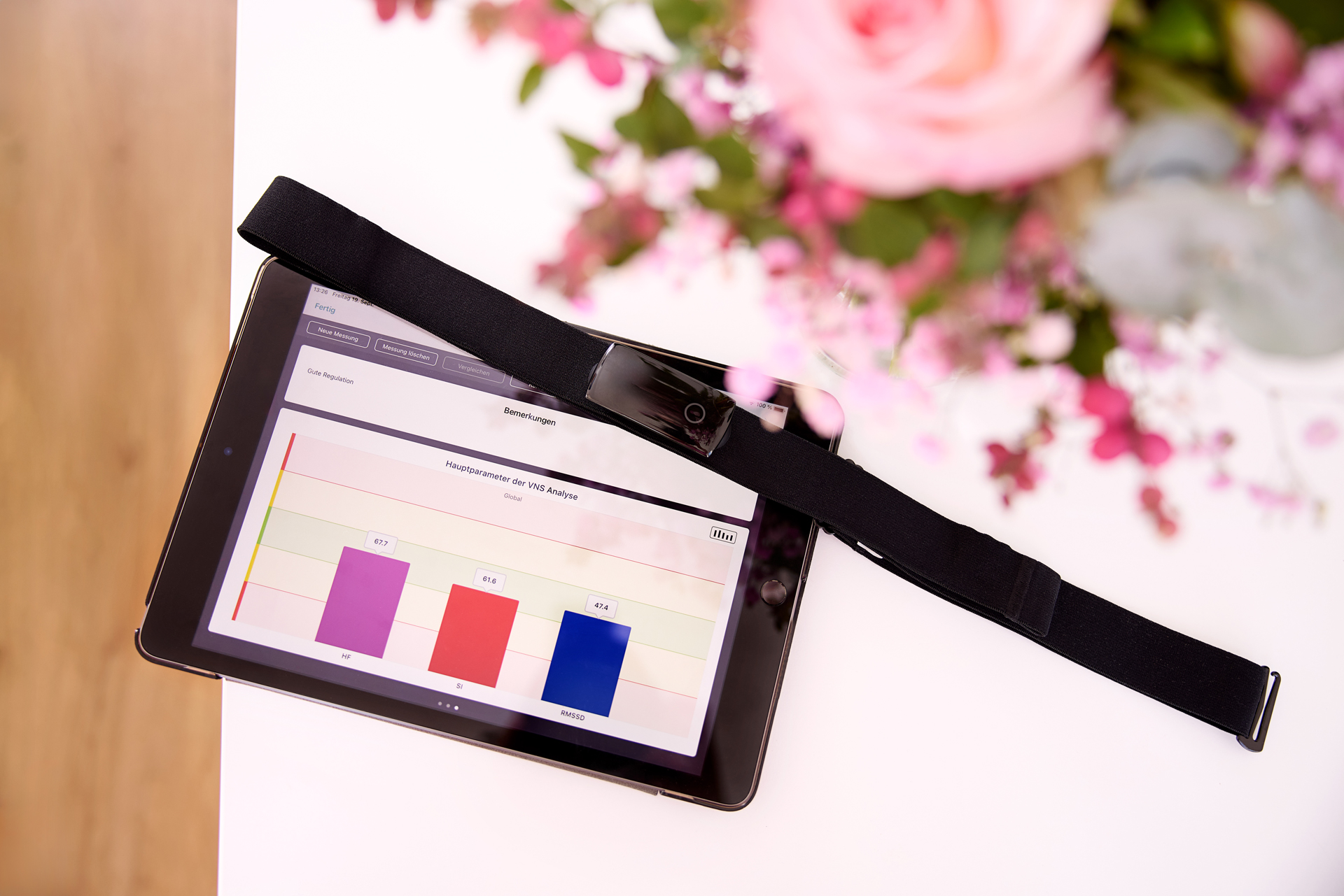 VNS Analyse Display und Gurt